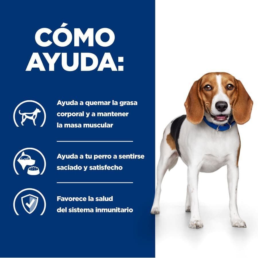 10 kg Hill's Prescription Diet Weight Loss r/d Pollo pienso para perros, , large Imagen numero 3