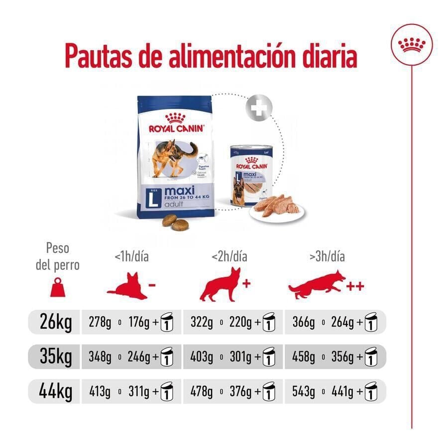 18 kg (15 + 3kg &iexcl;gratis!) Royal Canin Maxi Adult pienso para perros, , large indicador imagen numero 8