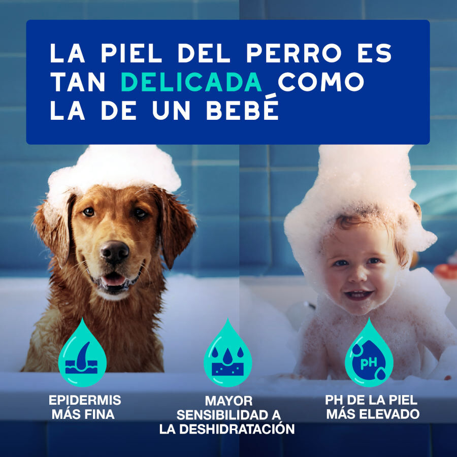 Ceva Douxo Spa Champ&uacute; Antiolor para perros, , large indicador imagen numero 9