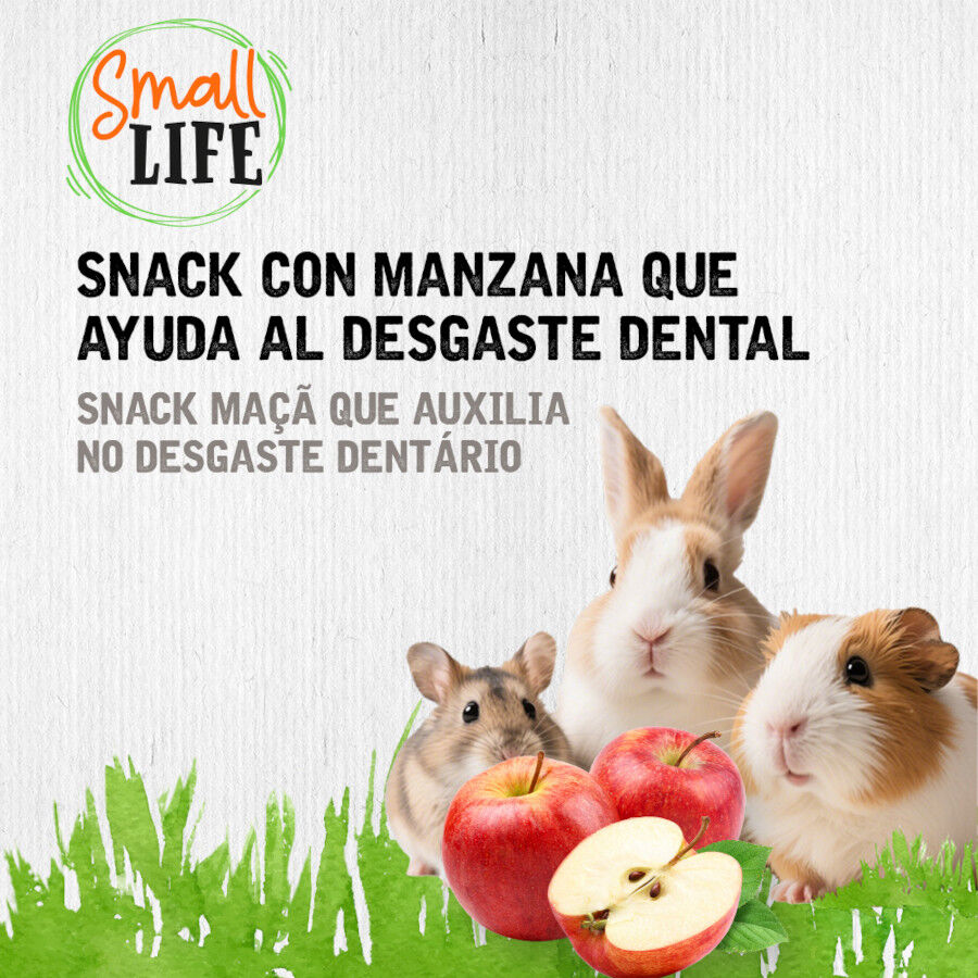 100 g Small Life Rollo de Heno con Manzana Snack para roedores y conejos, , large indicador imagen numero 2