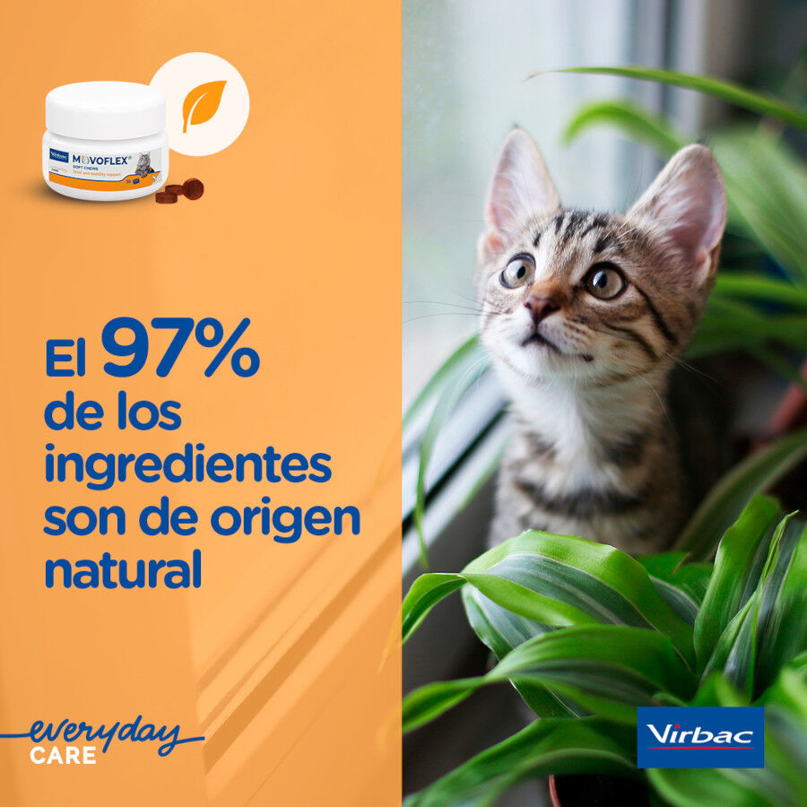 30 uds. Virbac Movoflex Soft Chews Suplemento para gatos, , large indicador imagen numero 7