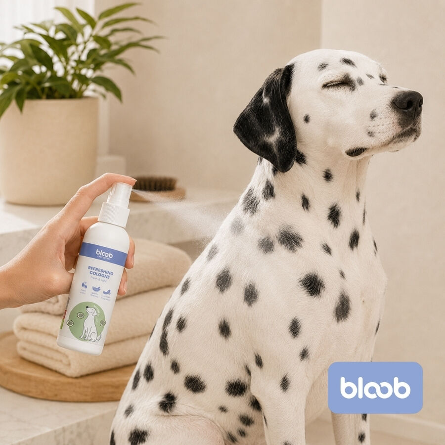 Bloob Colonia Refrescante Pepino para perros, , large indicador imagen numero 2