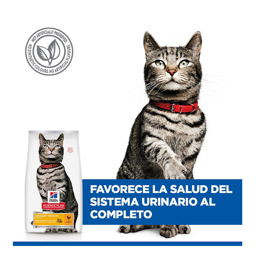 1.5 kg Hill's Urinary Pollo pienso para gatos, , large Imagen numero 6