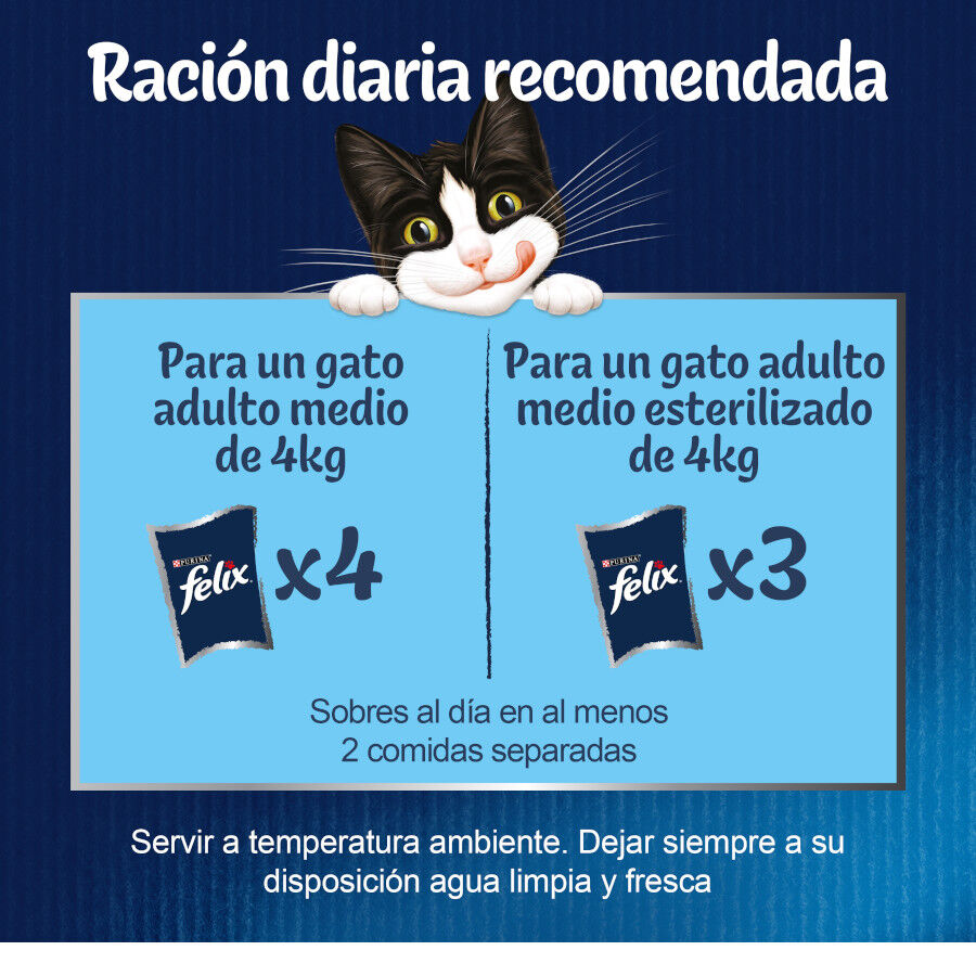 12 sobres x 85 g Felix Fantastic Selecciones Favoritas sobres en gelatina , , large indicador imagen numero 3