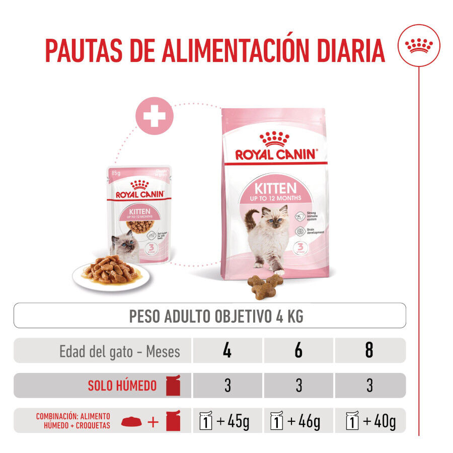 85 g Royal Canin Kitten sobre en salsa para gatos, , large Imagen numero 7