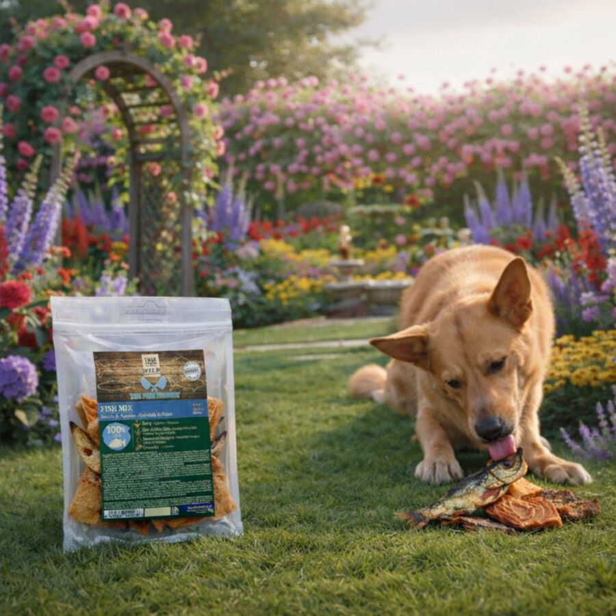 70 g. True Origins Surtido Pescados Snack para perros, , large indicador imagen numero 1