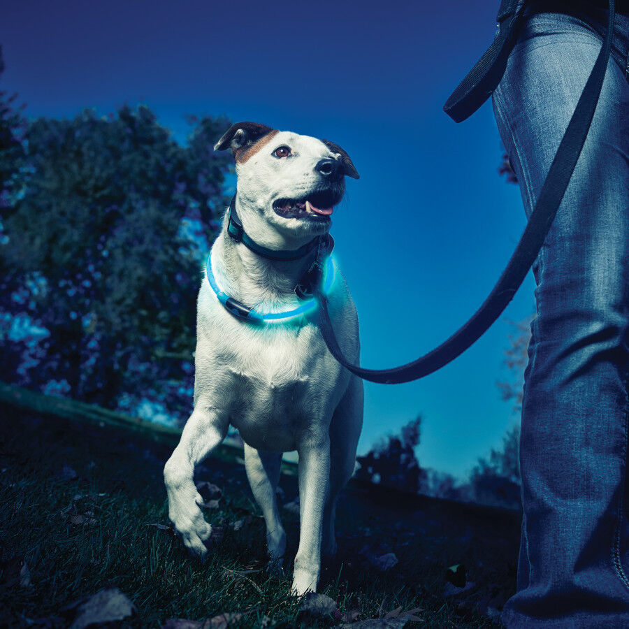 Nite Ize NiteHowl Collar con Luz LED Azul para perros, , large Imagen numero 4