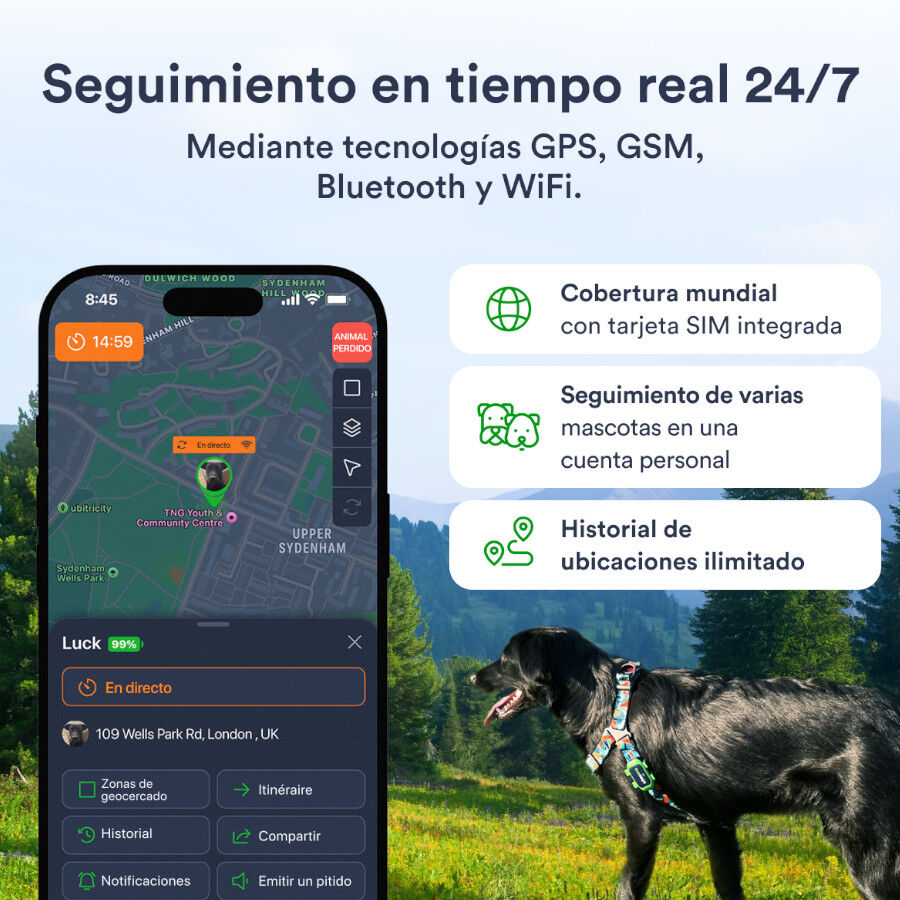 Trackimo Localizador GPS Petloc8 4G para perros y gatos, , large indicador imagen numero 7