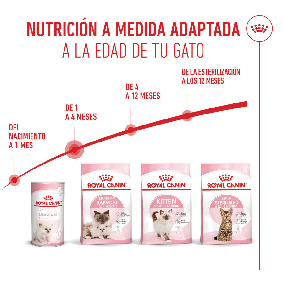4 kg Royal Canin Mother & Babycat pienso para gatos, , large indicador imagen numero 7