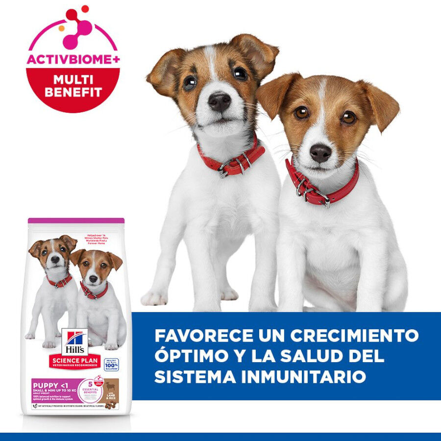 6 kg Hill's Science Plan Puppy Small y mini Cordero y arroz para perros, , large Imagen numero 4