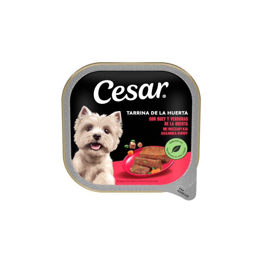 300 g Cesar Buey y Verduras Tarrina en Gelatina para Perros, , large indicador imagen numero 1