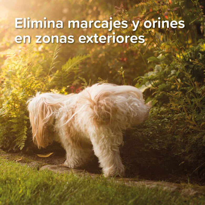 Beaphar Spray Educador para Exterior para perros y gatos, , large indicador imagen numero 3