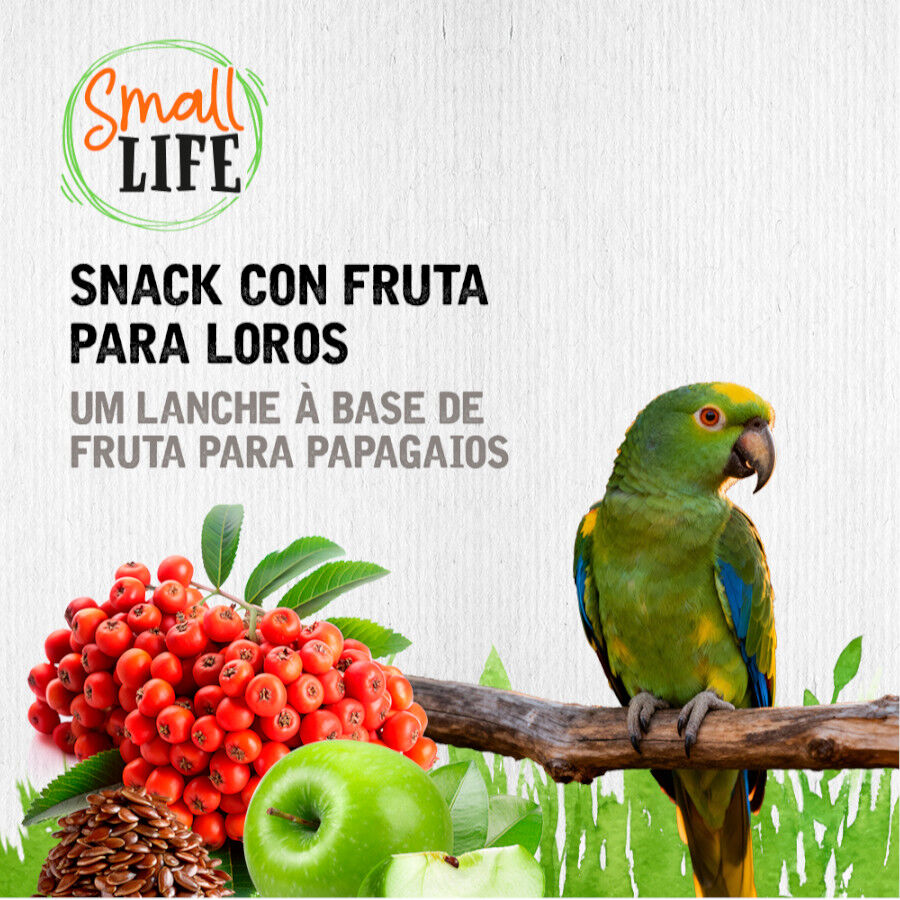 2 barritas Small Life Barritas con Fruta para loros, , large indicador imagen numero 4