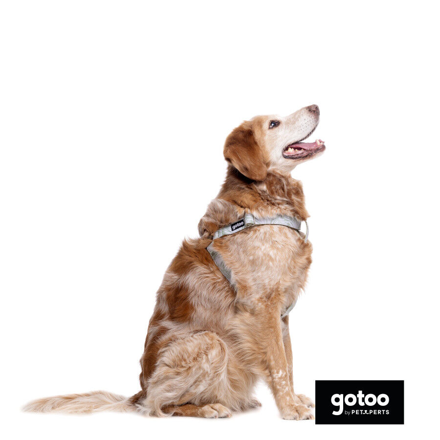 Gotoo Arn&eacute;s estampado hojas para perros, , large indicador imagen numero 4