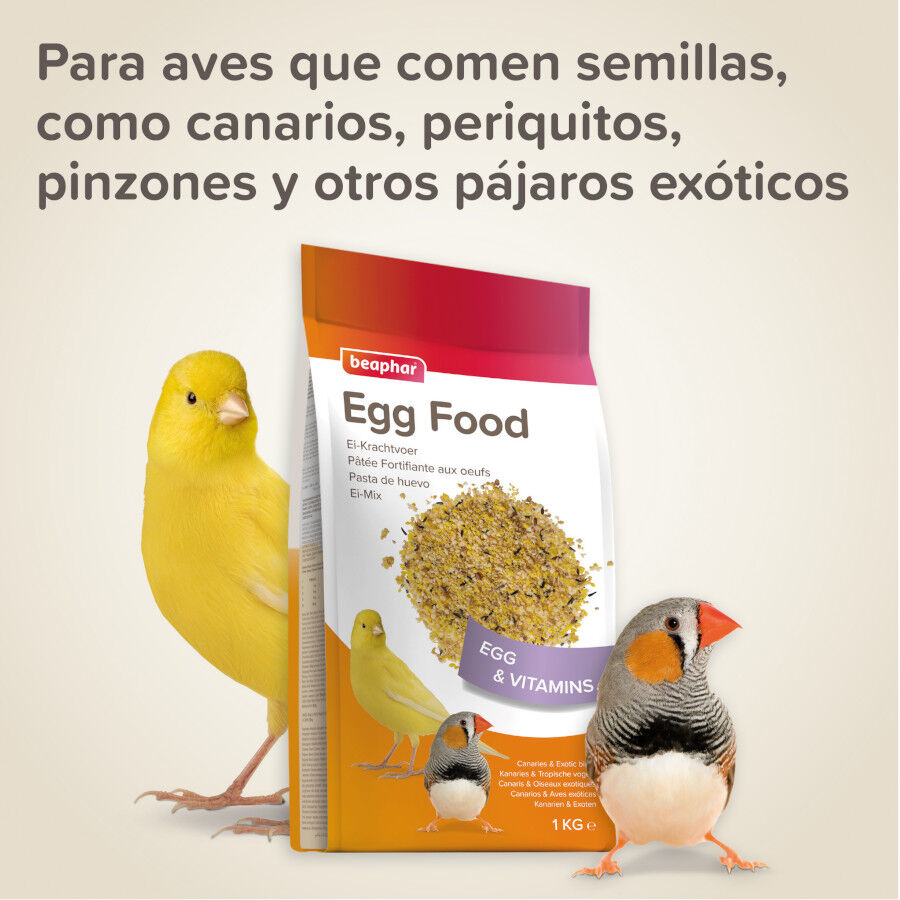 Beaphar Pasta de Huevo para canarios, , large Imagen numero 5