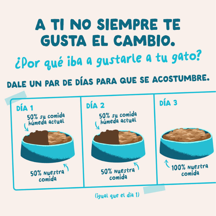85 g Edgard & Cooper At&uacute;n y Pollo sobre en salsa para gatos, , large indicador imagen numero 9