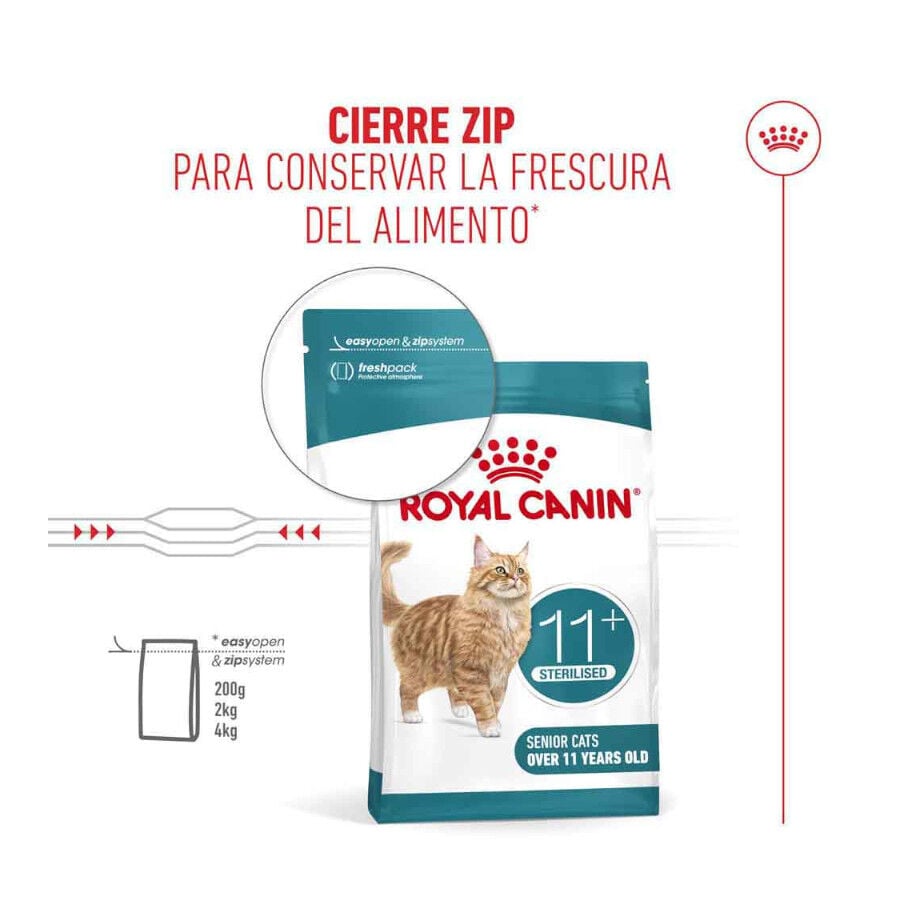 2 kg Royal Canin Ageing 11+ Sterilised pienso para gatos&nbsp;senior, , large indicador imagen numero 7