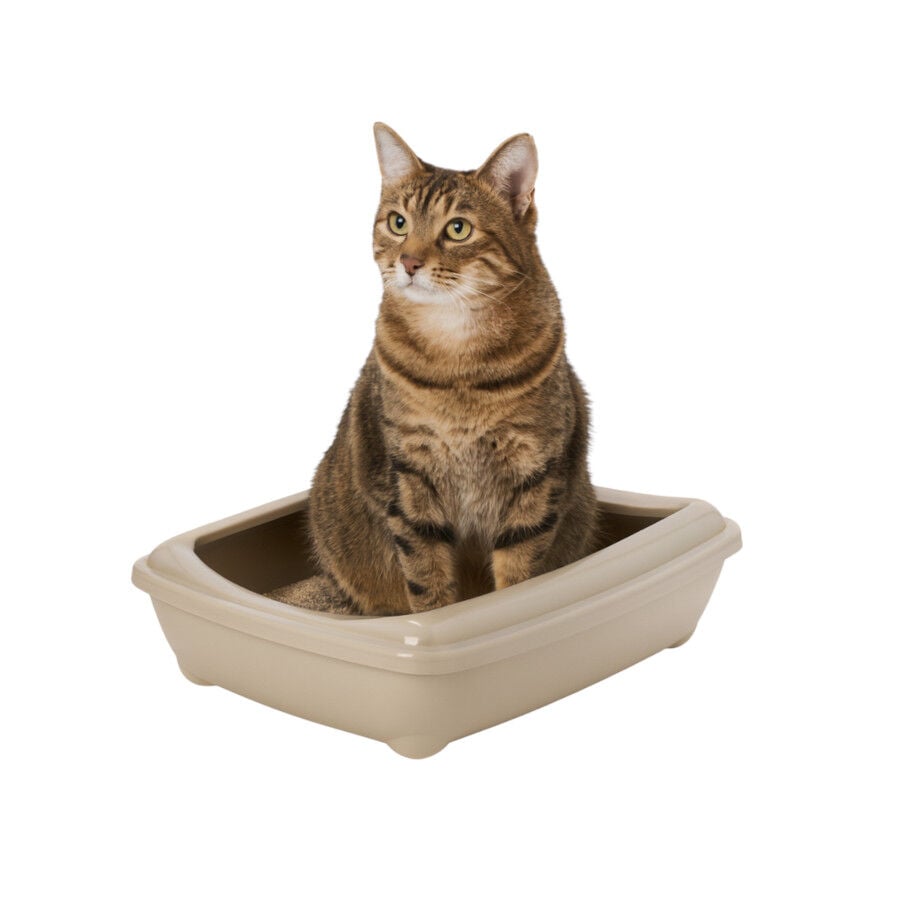 Nice Care Bandeja Sanitaria Beige para gatos , , large Imagen numero 1