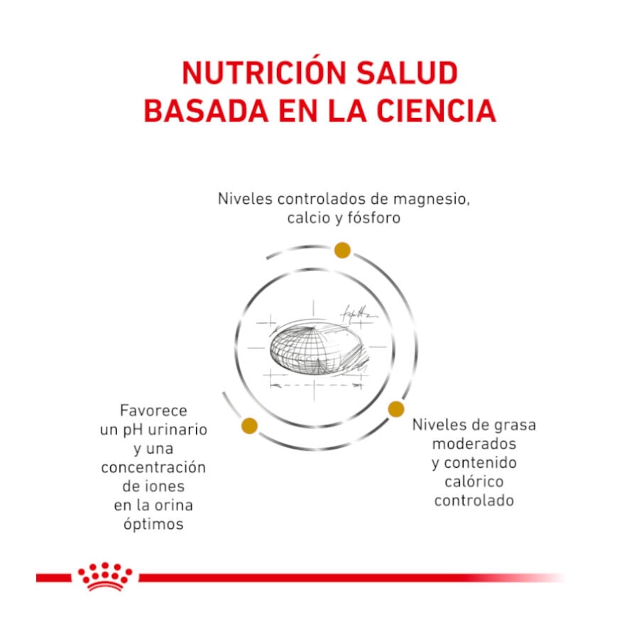 12 sobres x 85 g Royal Canin Veterinary Urinary Moderate Calorie sobres para gatos, , large Imagen numero 3