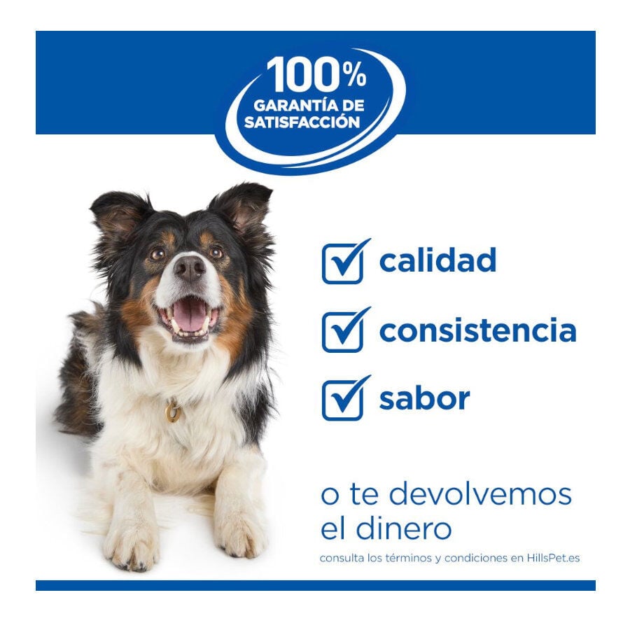 12 kg Hill's Science Plan Healthy Mobility Adult Large Pollo pienso para perros, , large Imagen numero 10