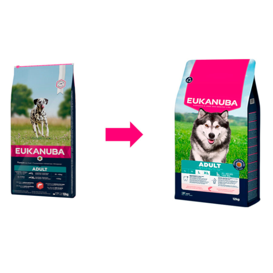 12 kg Eukanuba Adult Salm&oacute;n pienso para perros, , large indicador imagen numero 1