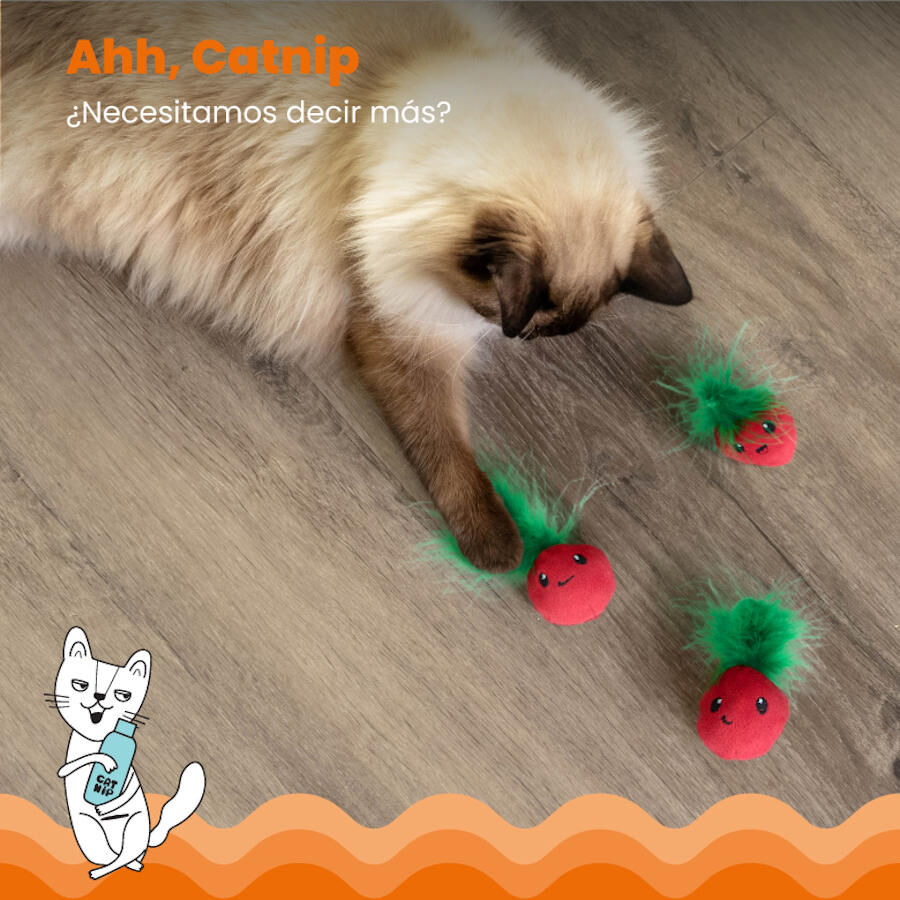 Catstages Strawbabies Peluche de Fresitas para gatos, , large indicador imagen numero 4
