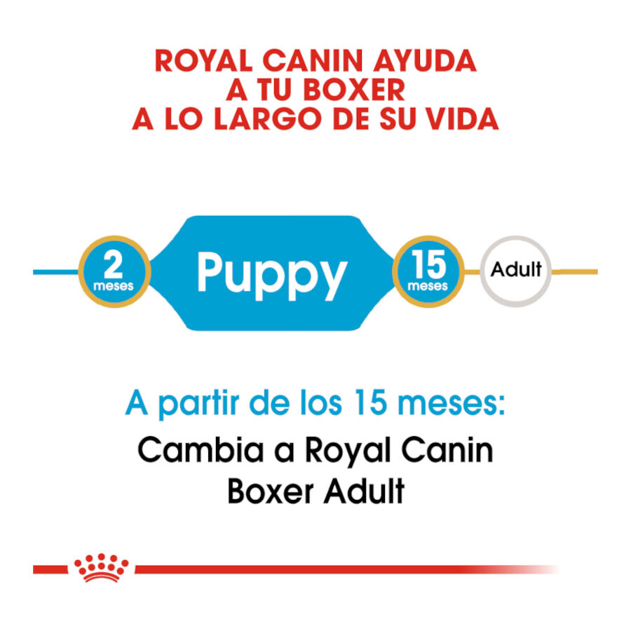 12 kg Royal Canin Puppy Boxer pienso para perros, , large indicador imagen numero 6