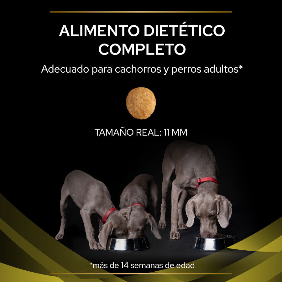 12 kg Pro Plan Veterinary Diets Hepatic pienso para perros, , large indicador imagen numero 3