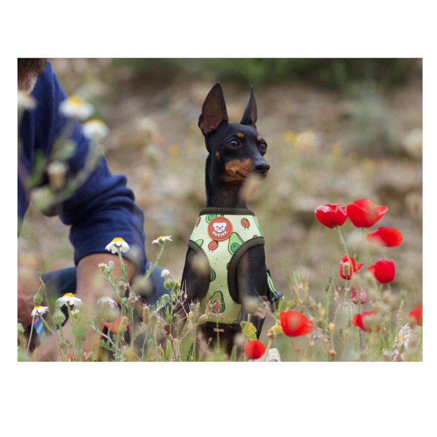 Dukier Avocado Arn&eacute;s Reversible Estampado Aguacate para perros, , large indicador imagen numero 5