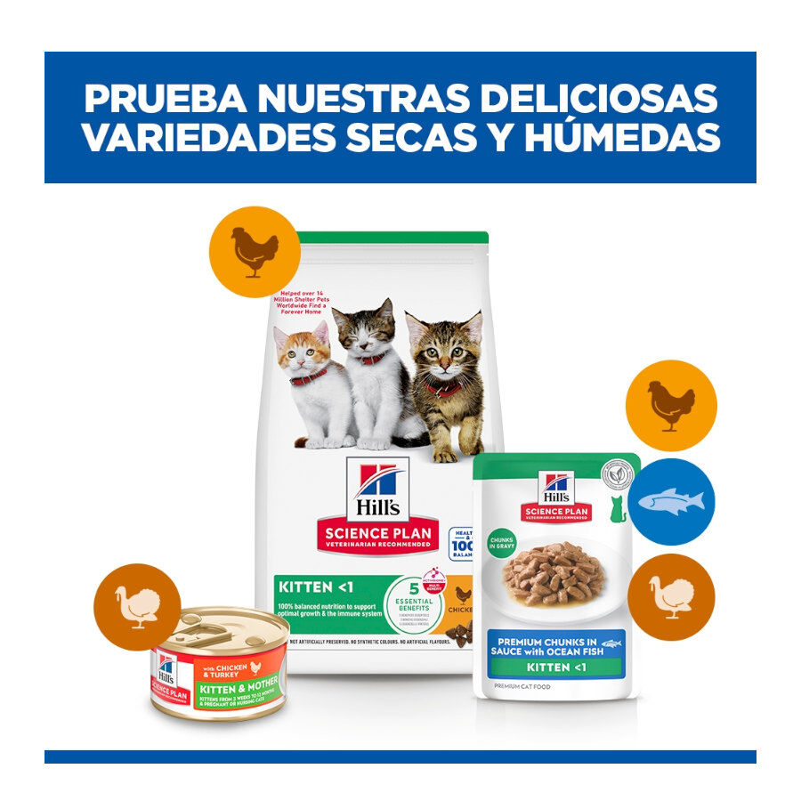 85 g Hill's Science Plan Kitten Pescado Azul sobre para gatos, , large indicador imagen numero 11