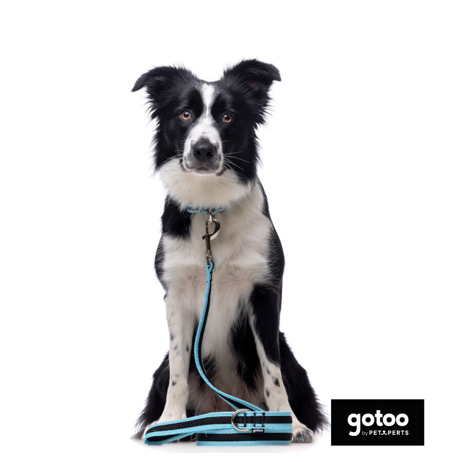 Gotoo collar de malla transpirable turquesa para perros, , large indicador imagen numero 6