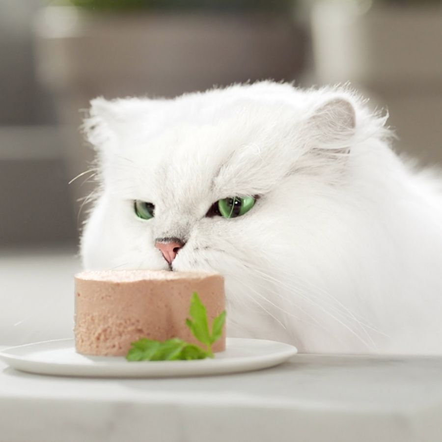 85 g Gourmet Gold Mousse de Salm&oacute;n lata para gatos, , large indicador imagen numero 3
