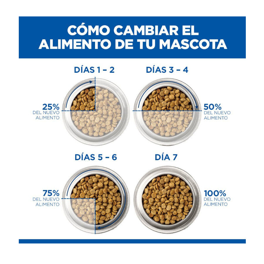 1.5 kg Hill's Prescription Diet i/d Digestive Care Kitten Digestivo Pienso Pollo para gatos, , large Imagen numero 10