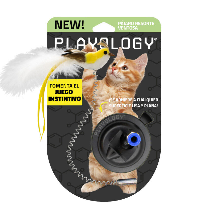 Playology Juguete Interactivo Se&ntilde;uelo P&aacute;jaro para gatos