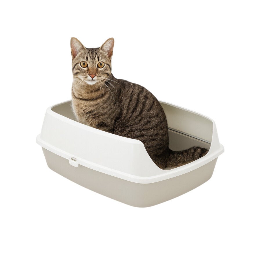 Nice Care Eco Bandeja Sanitaria Azul para gatos, , large Imagen numero 1