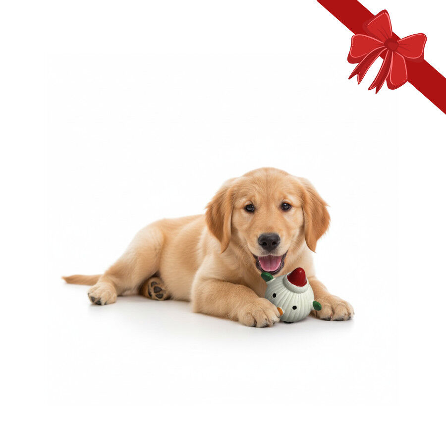 Wonder Christmas Pelota Navide&ntilde;a para perros, , large Imagen numero 1