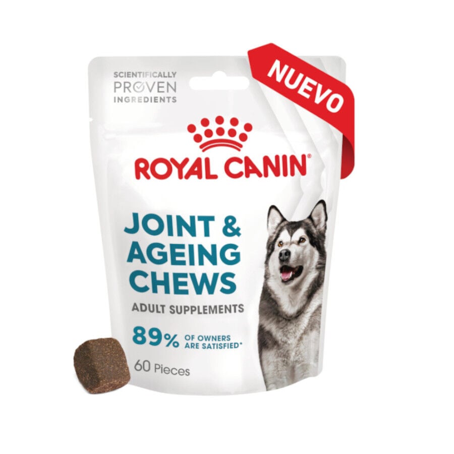 240 g Royal Canin Joint & Ageing Chews Suplemento Nutricional para perros senior, , large indicador imagen numero 2
