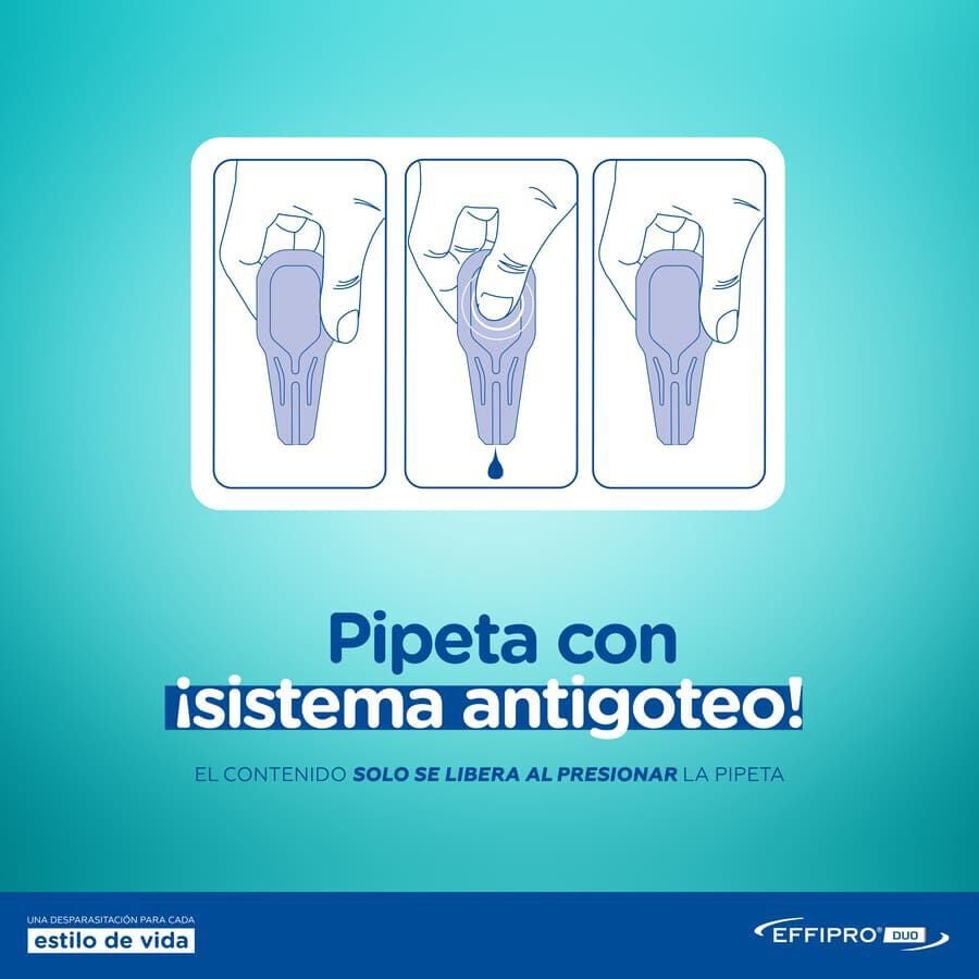 Effipro Duo pipetas antipar&aacute;sitos para perros, , large Imagen numero 4