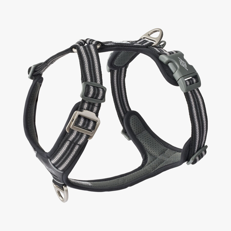 Dog Copenhagen Comfort Walk Air Arn&eacute;s Negro para perros