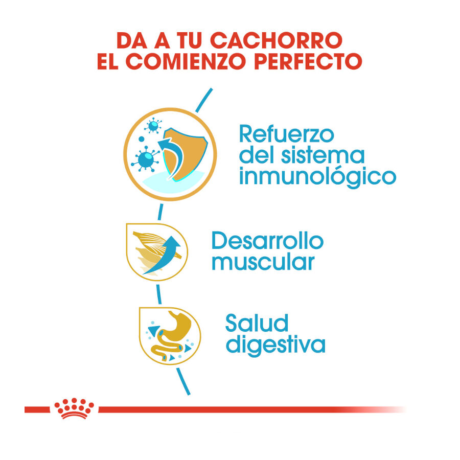 12 kg Royal Canin Puppy Boxer pienso para perros, , large Imagen numero 7
