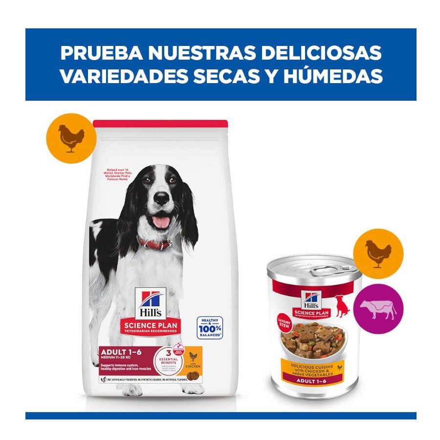 363 g  Hill's Science Plan Adult Estofado con pollo y verduras lata para perros, , large indicador imagen numero 8