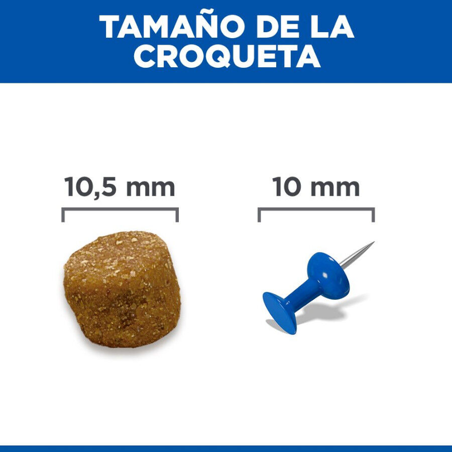 14 kg Hill's Science Plan Adult Light Medium Pollo pienso para perros, , large Imagen numero 9