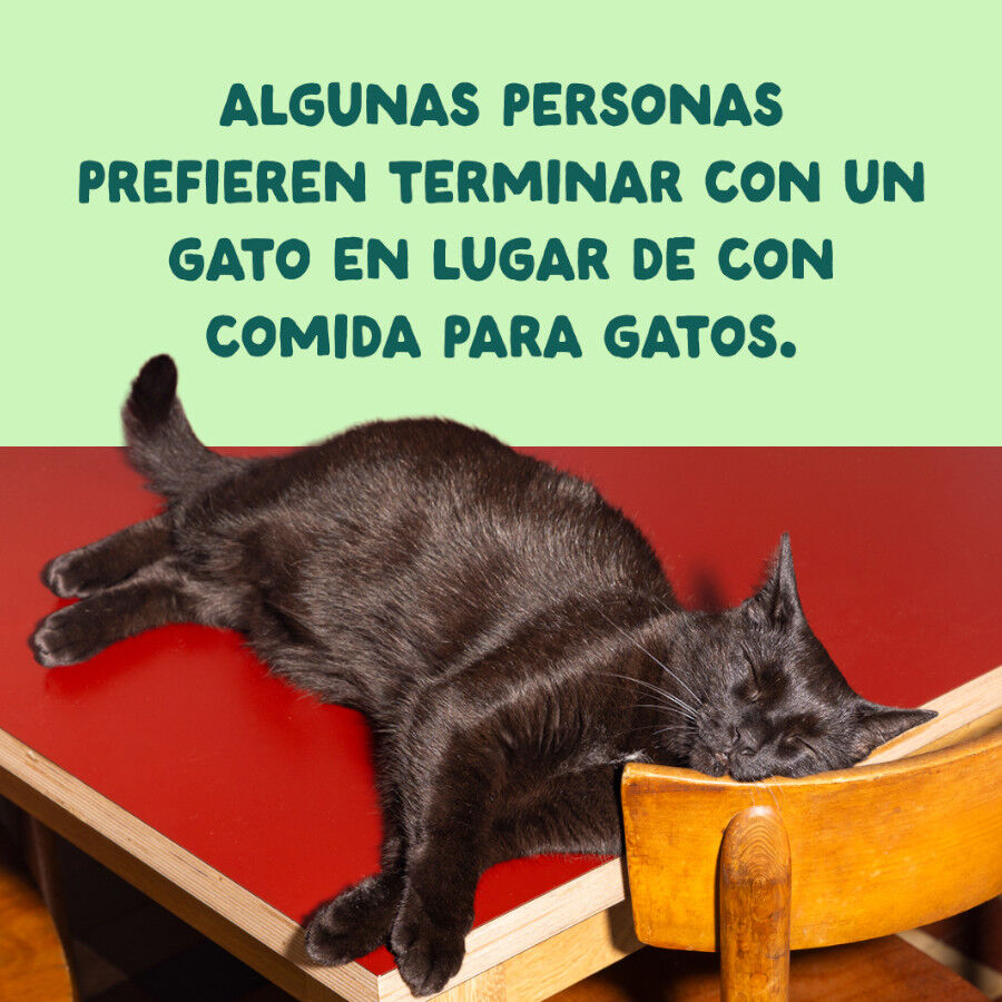 70 g Edgard & Cooper Filetes de Salm&oacute;n y Ceballa Lata para gatos, , large indicador imagen numero 9