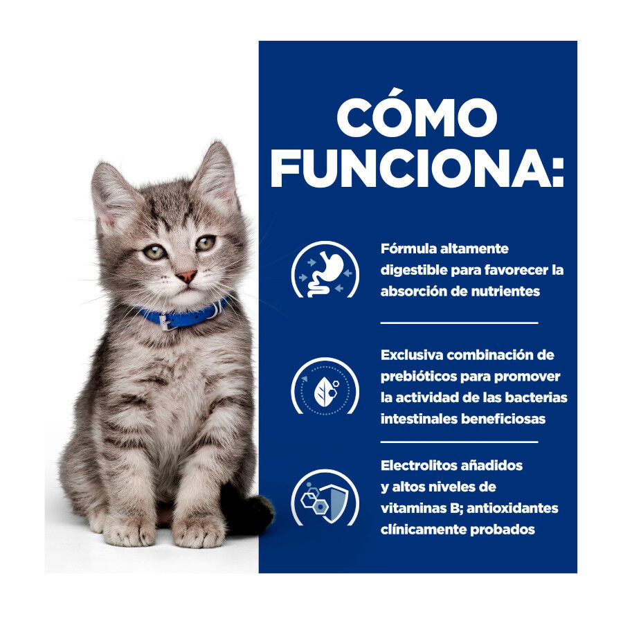 1.5 kg Hill's Prescription Diet i/d Digestive Care Kitten Digestivo Pienso Pollo para gatos, , large Imagen numero 5