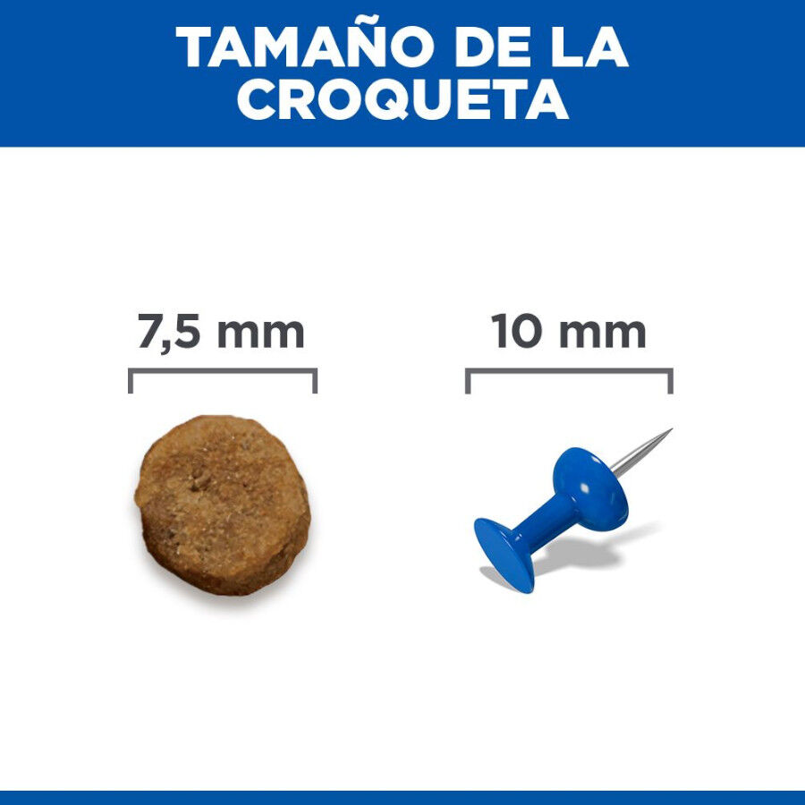 6 kg Hill's Science Plan Mature Adult Small y Mini pollo pienso para perros, , large Imagen numero 9