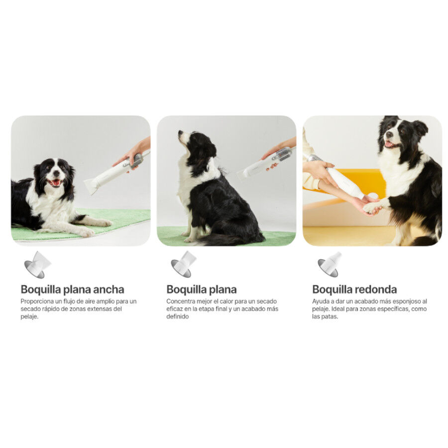 Neakasa F1 Fast Secador de pelo para perros, , large indicador imagen numero 8