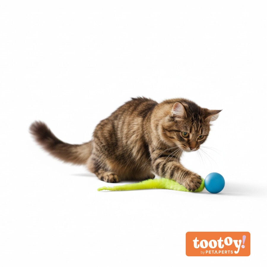 Tootoy! Pelota Interactiva con Cola para gatos, , large Imagen numero 9
