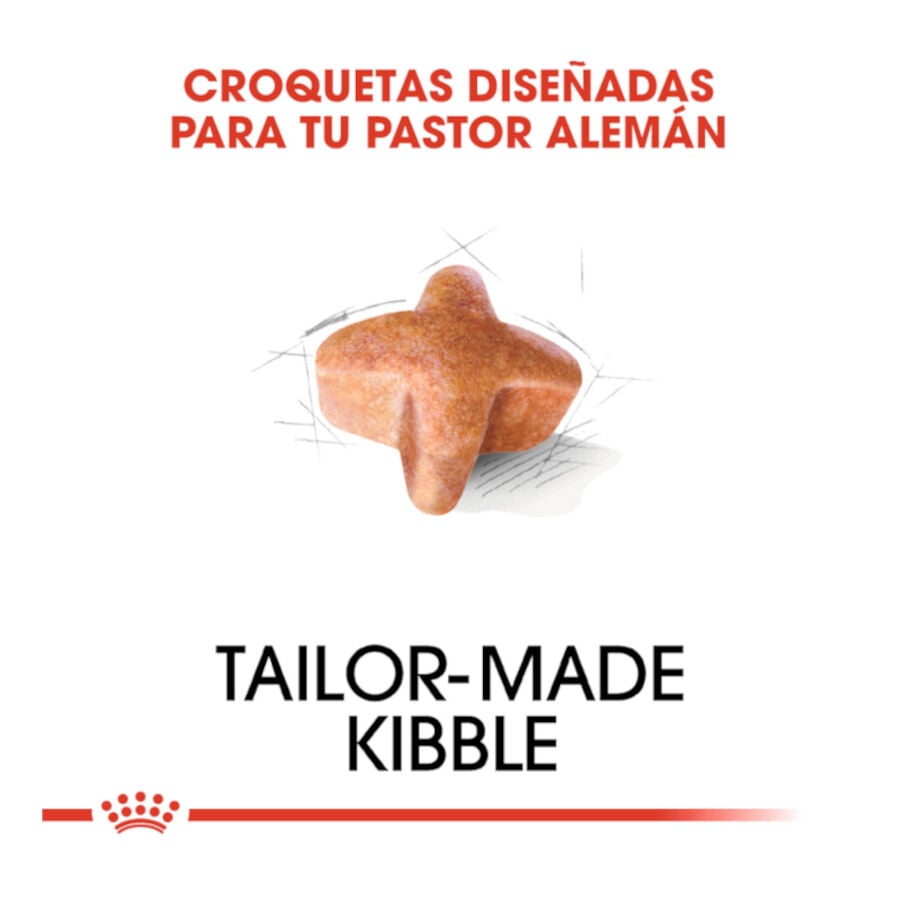 11 kg Royal Canin Adult Pastor Alem&aacute;n pienso para perros, , large Imagen numero 5