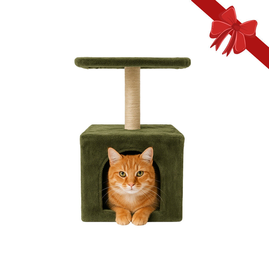 Wonder Christmas Rascador con Poste de Sisal Navide&ntilde;o para gatos, , large Imagen numero 1