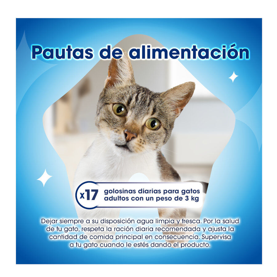40 g Dentalife Daily Oral Salm&oacute;n Snacks Dentales para gatos, , large Imagen numero 6